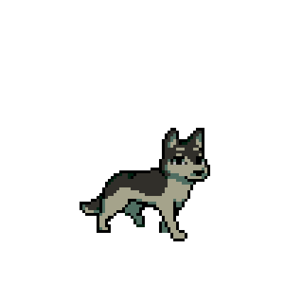 Dog Walking